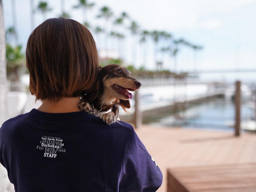 【Rum & Pino Coutureコラボ】フジアーフフィールドスタッフTシャツ