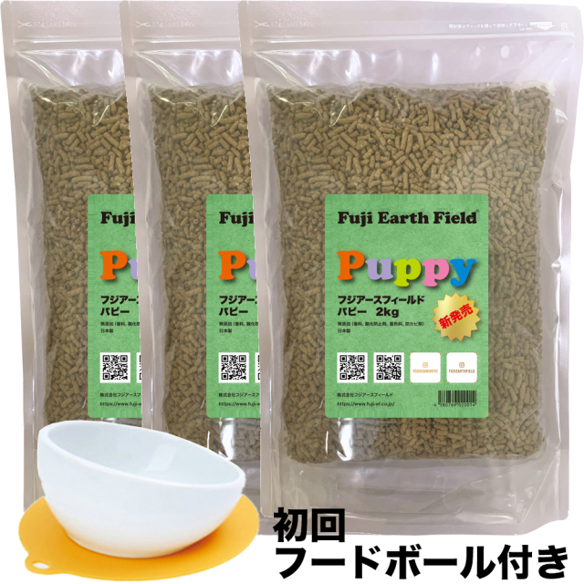 フジアースパピー