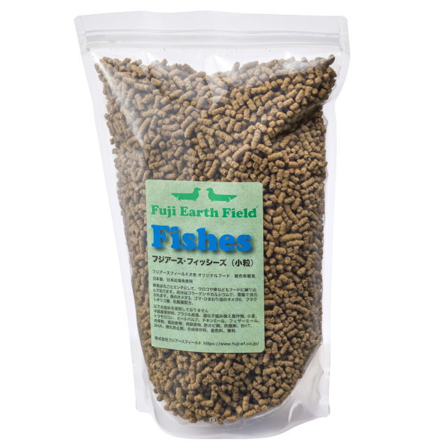 フジアース・フィッシーズ